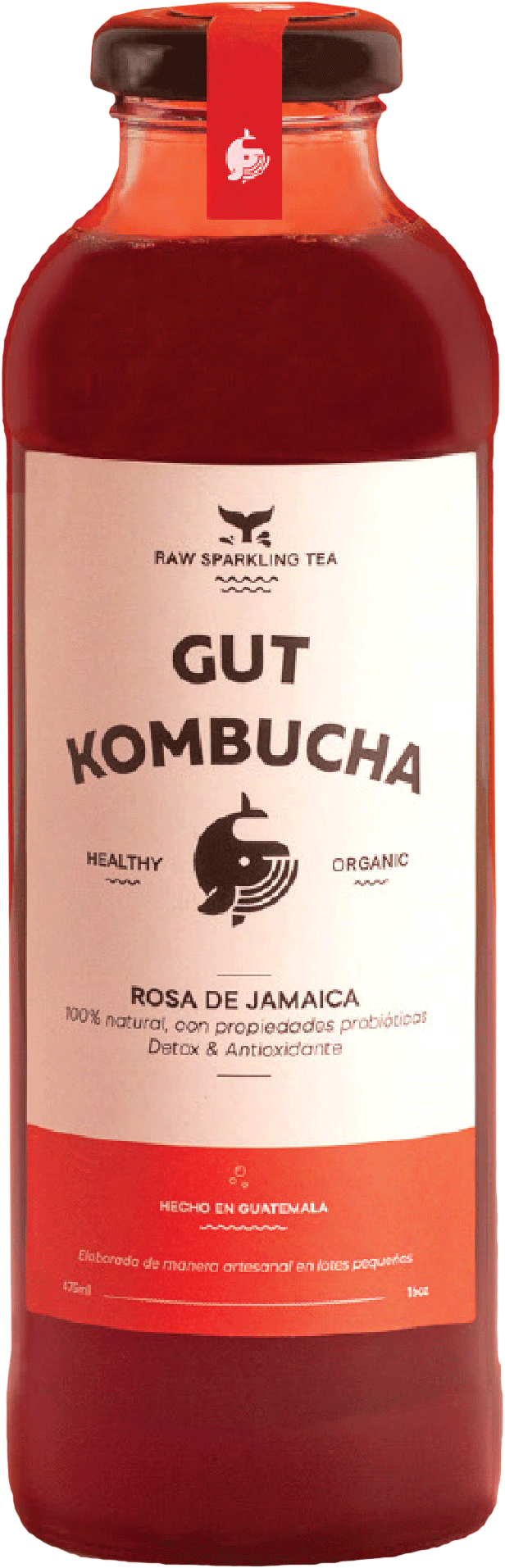 Kombucha Jamiaca